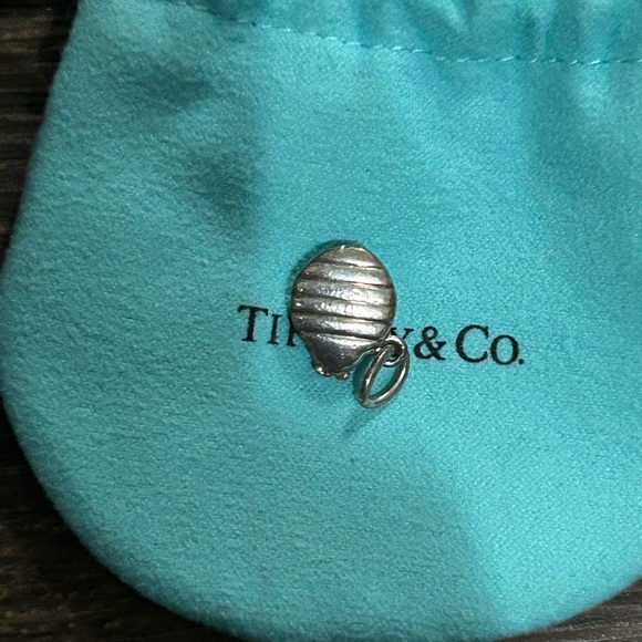 Authentic Tiffany & Co Signature Tiffany Blue Lady Bug Charm 925 - Picture 4 of 5